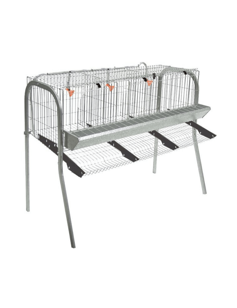 Jaula Gallinas Mod A3