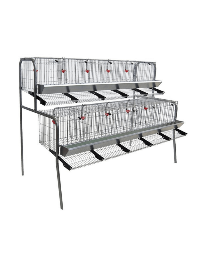 Jaula Gallinas Ponedoras Mod 9 Departamentos