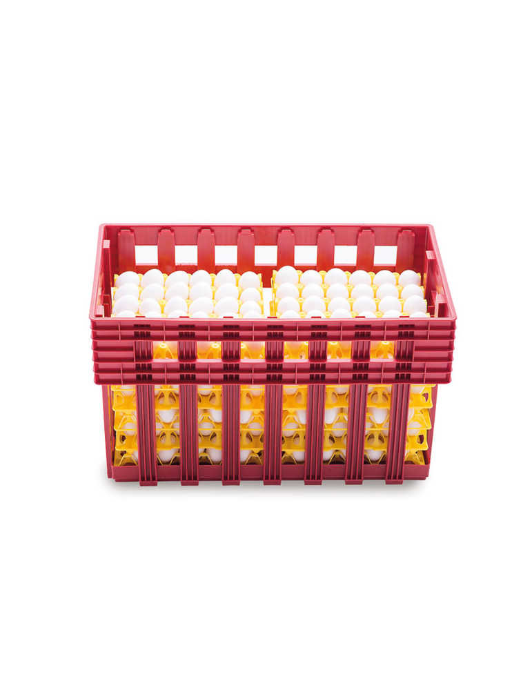 Caja Transporte De Huevos 360