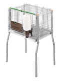 Jaula Conejos