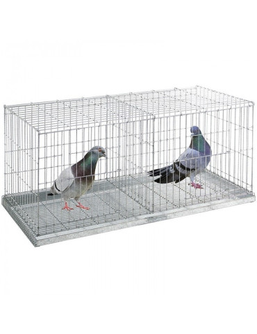 Jaula Exposición Palomas