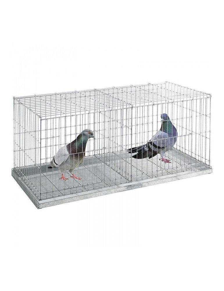 Jaula Exposición Palomas