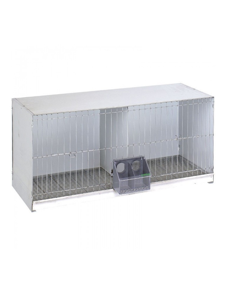 Jaula Para Palomas Europa