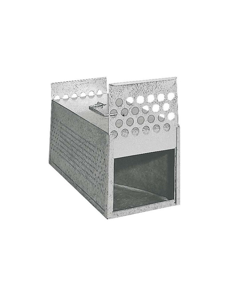 Transportín Palomas Dos Departamentos