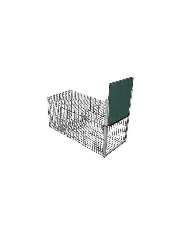 Trampa Captura Mustélidos