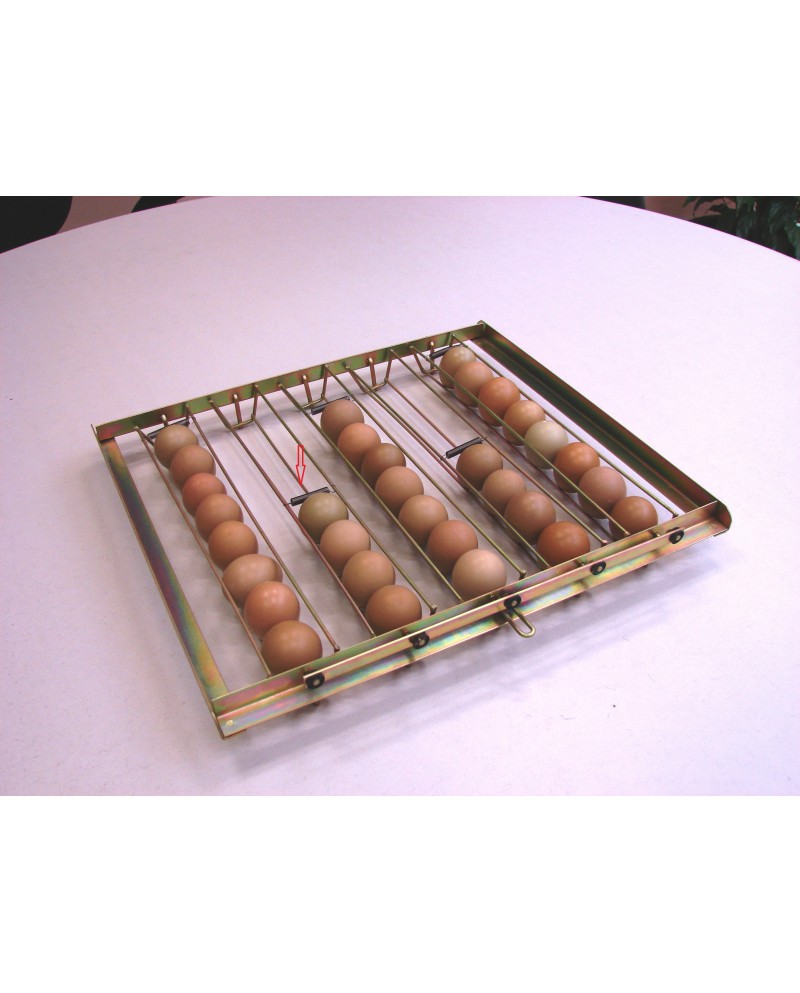 BANDEJA CUNA HUEVOS DE FAISÁN