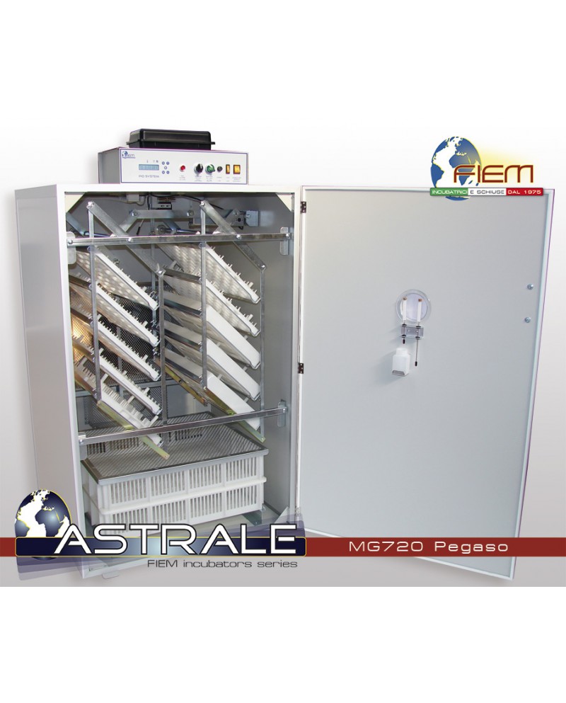 INCUBADORA FIEM MG 720 PEGASO