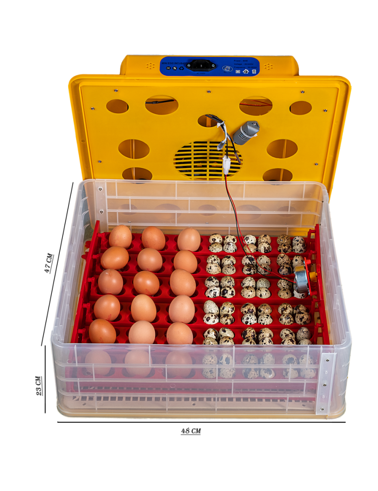 Incubadora Automática  36 Huevos
