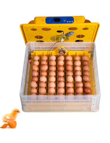 Incubadora Automática  56 Huevos
