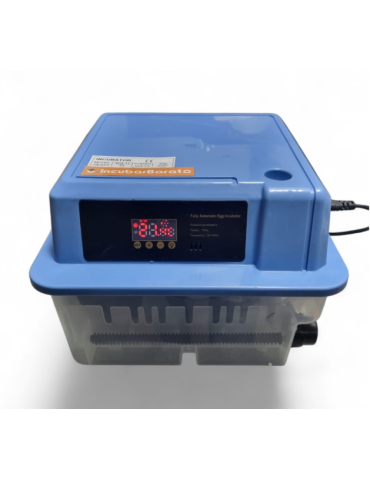 Incubadora Automática 12 Huevos