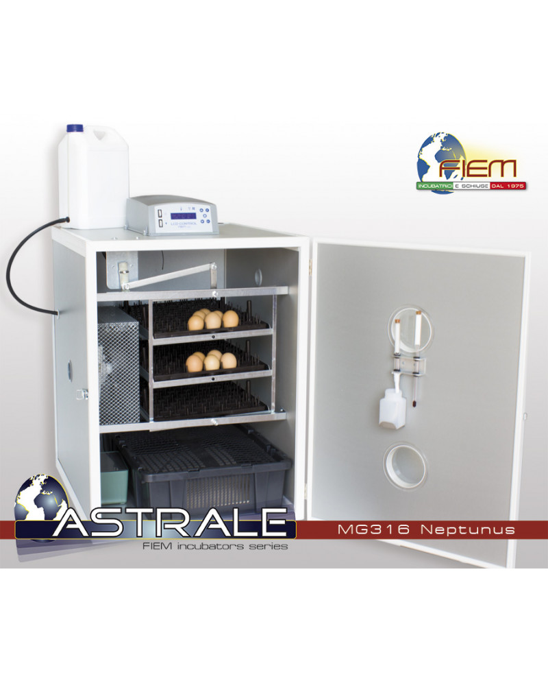 Fiem-MG316-Neptunus-Big