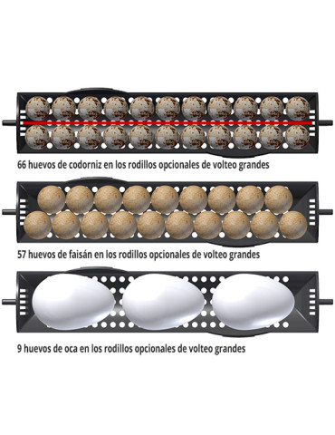 Incubadora Brinsea Ovation 28 Advance