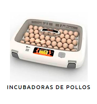 promesa motor Londres ▷ Venta de Incubadoras de Pollos | Calidad y al mejor precio - IncubarBarato